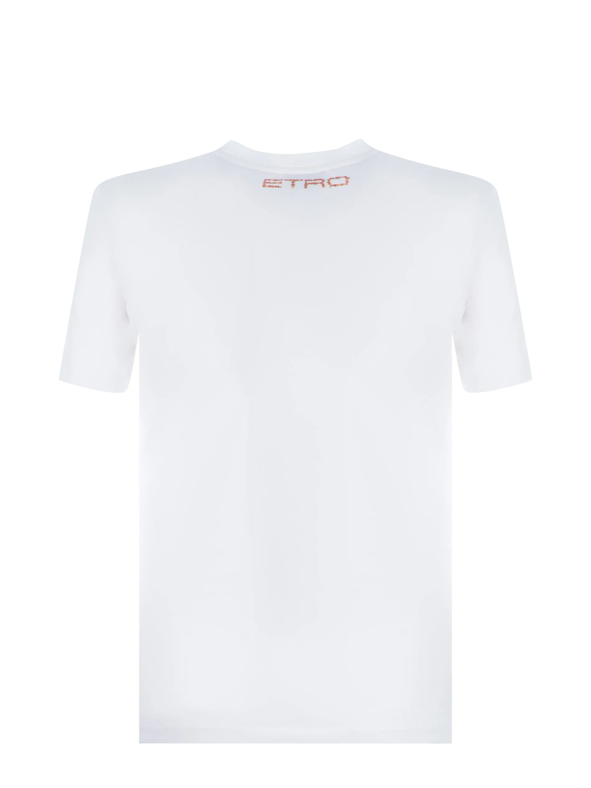 Etro Graphic Print Crewneck T-Shirt