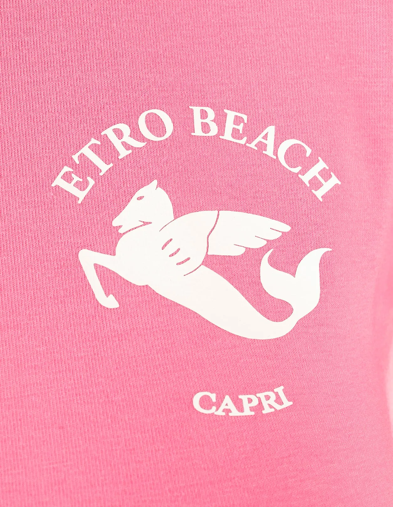 Etro Logo Printed Crewneck T-Shirt